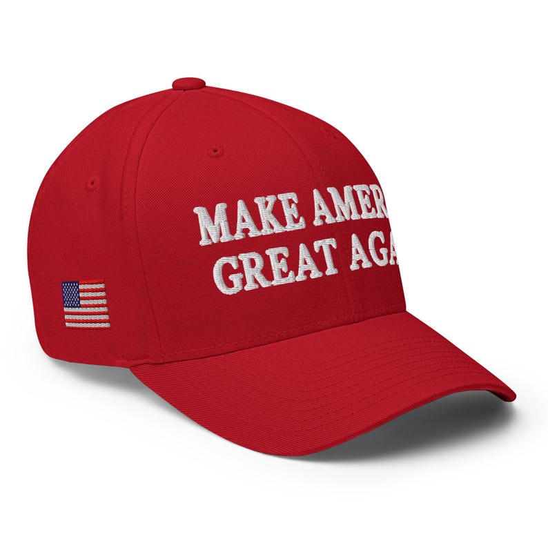 Make America Again Cap | Trump Rally Hat, Elon Musk Inspired